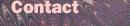 Contact Judith